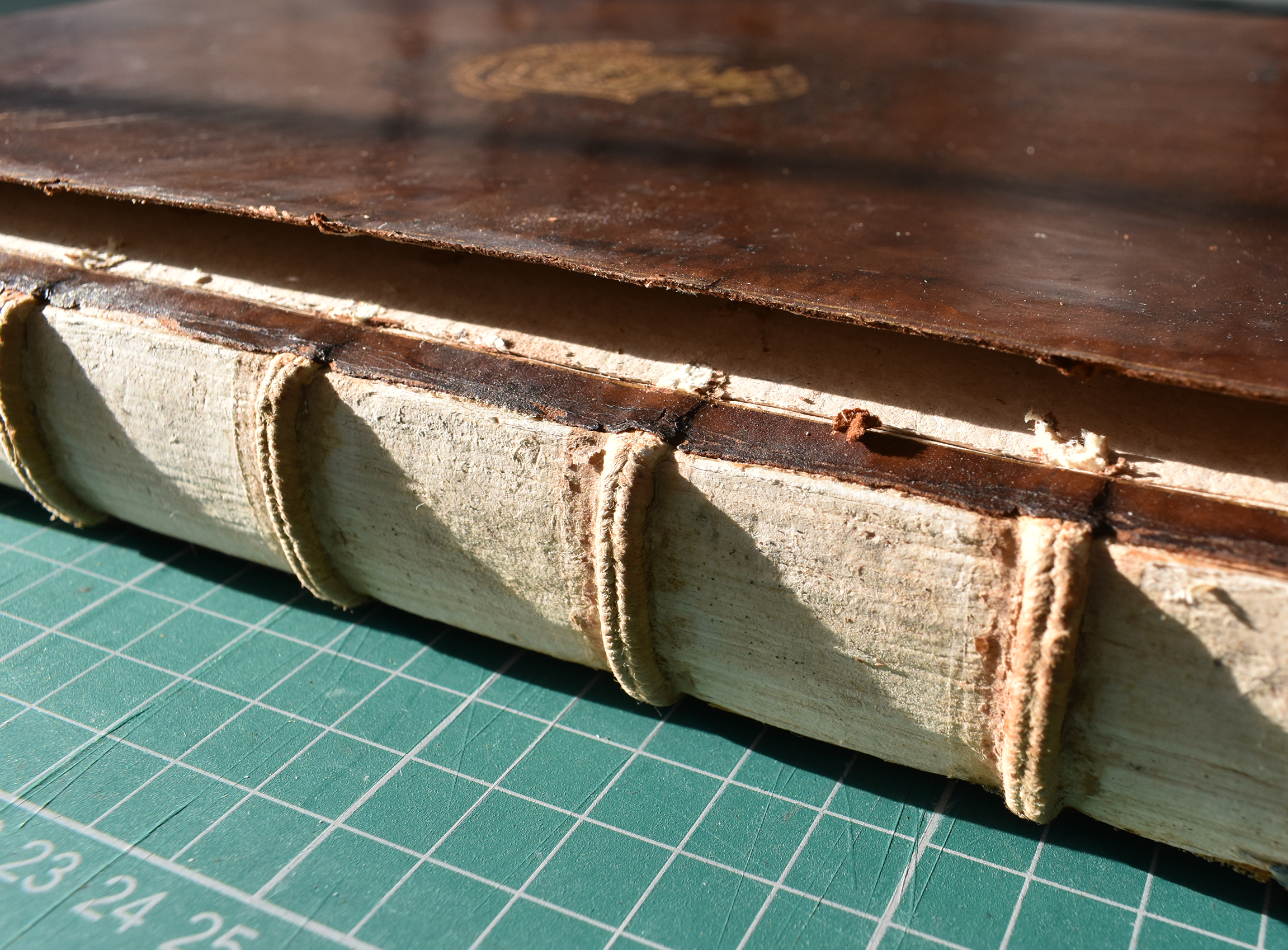  Cleaned spine with split boards 